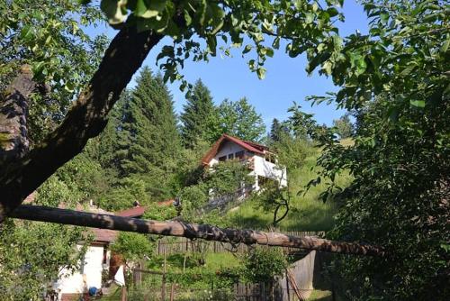 gałąź drzewa z domem w tle w obiekcie Cabana Vânătorilor w mieście Poiana Mărului