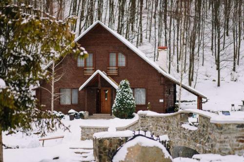 a house with a christmas tree in the snow at Voevodyno Resort in Tur'ya Pasika