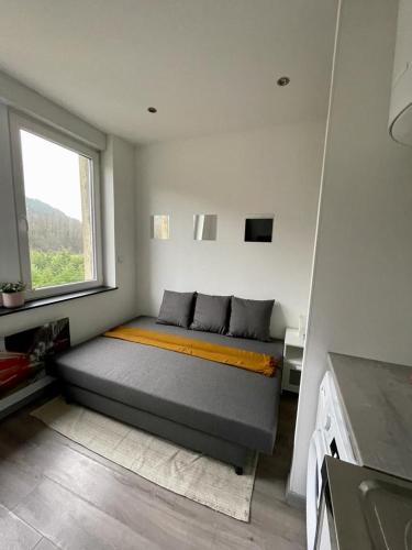 ein Schlafzimmer mit einem Bett in einem Zimmer mit einem Fenster in der Unterkunft Sympathique petit Studio à la frontière du Luxembourg in Knutange