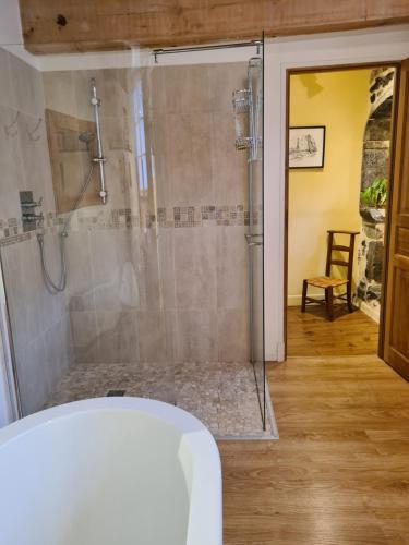 bagno con doccia e porta in vetro di Gîte d'étape Le Couvent d'Ossau a Louvie Juzon