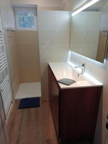 ein Bad mit einem Waschbecken und einer Dusche in der Unterkunft Le Tuquet in Montcuq