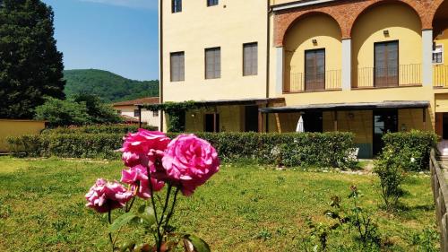 a pink flower in front of a building at Residence La Poggerina in Figline Valdarno