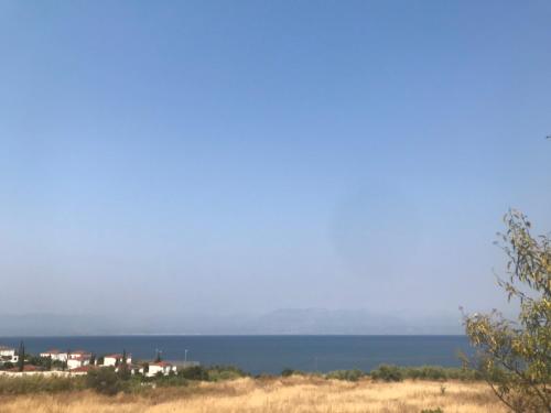Φυσικό τοπίο κοντά σε αυτό το διαμέρισμα