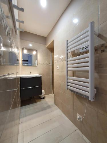 une salle de bain avec un lavabo, des toilettes et un miroir dans l'établissement Appart Maurienne 2, à Saint-Jean-de-Maurienne