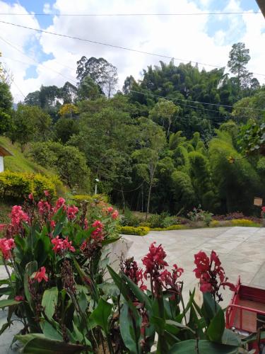 a garden with pink flowers and trees in the background at Hotel Orillas del Pizano in Jardin