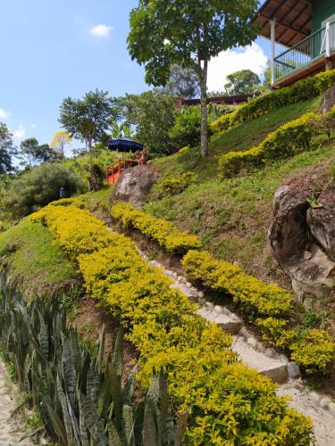 a field of yellow flowers on a hill at Hotel Orillas del Pizano in Jardin