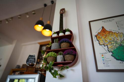 a shelf with plants and a guitar on a wall at Pension Casa cu Tei in Sărata-Monteoru