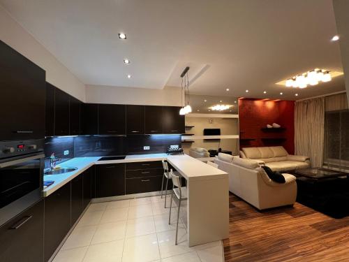 a kitchen with black cabinets and a living room at Kharkovlux in Kharkiv