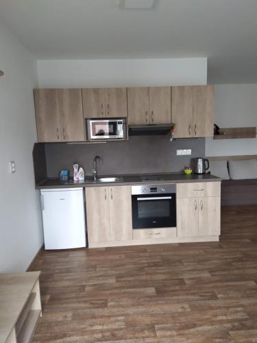 a kitchen with wooden cabinets and a sink and a dishwasher at Ubytování na statku Račice in Račice