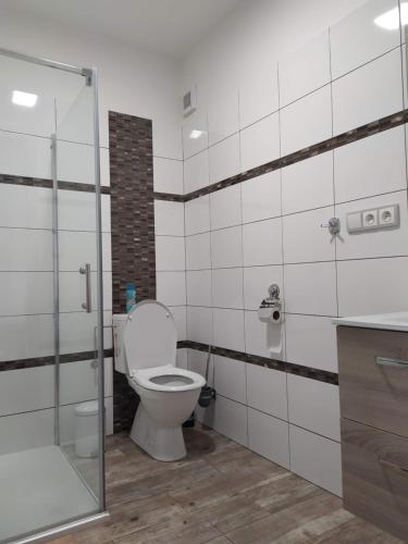 uma casa de banho com um WC e uma cabina de duche em vidro. em Ubytování na statku Račice em Račice