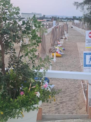 Gallery image of B&B A Un Passo dal Mare in Torre Canne