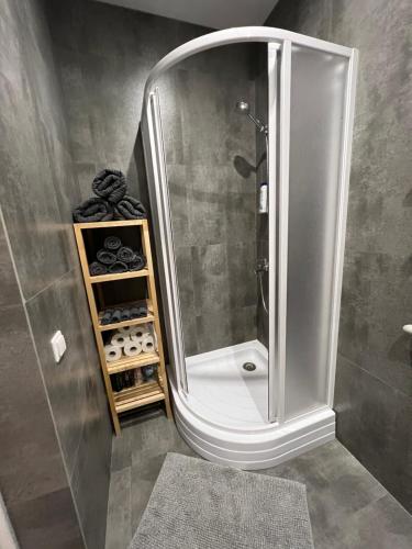 een badkamer met een douche en een grote spiegel bij Akmene Center Apartment in Naujoji Akmenė