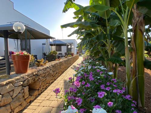 a garden with flowers and a stone wall at B&B Fellini Gallipoli in Gallipoli