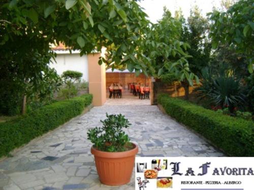 Φωτογραφία από το άλμπουμ του B&B La Favorita σε Isola Capo Rizzuto