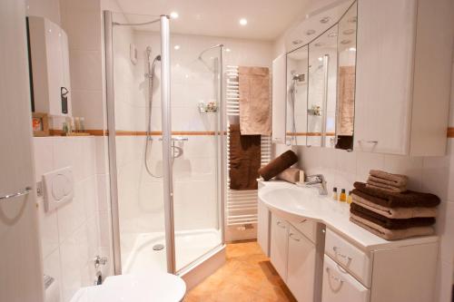 a bathroom with a shower and a toilet and a sink at Premium Fewo Lachmöwe in Wenningstedt