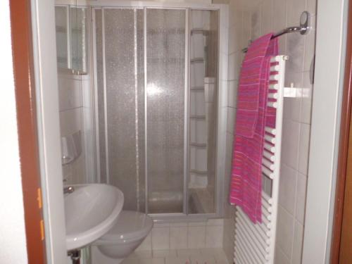 uma casa de banho com um chuveiro, um WC e um lavatório. em Ferienwohnung Reinstadler Ilse em Jerzens