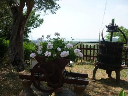 a park bench next to a tree with flowers at casaemilia2 in Tuoro sul Trasimeno