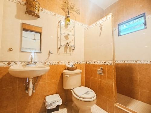 a bathroom with a toilet and a sink and a shower at Casa De Los Pájaros - B&B in Valladolid