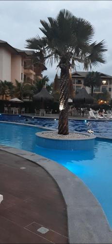 a palm tree in the middle of a swimming pool at VG SUN CUMBUCO-Lake Flat C1 201 1 a 4 pessoas in Caucaia