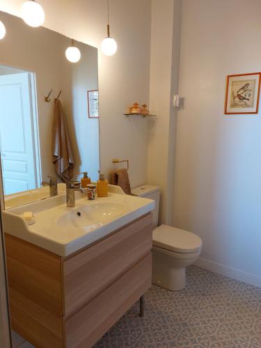 une salle de bain avec un lavabo, des toilettes et un miroir dans l'établissement Domaine de Rateau, à Bayas
