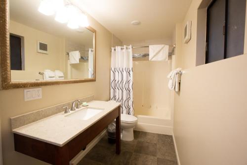 a bathroom with a sink and a toilet and a mirror at Moonlight Beach Motel in Encinitas