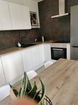 Dapur atau dapur kecil di Dom Słajszewo - Zielony Zakątek