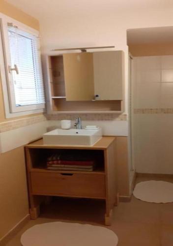 une petite salle de bain avec un lavabo et une douche dans l'établissement Parfums de Provence 