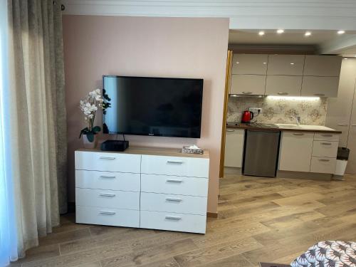 a living room with a flat screen tv on a dresser at Studio With Swimming Pool 80 meters near the beach in Nice