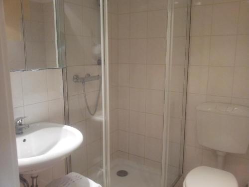 a bathroom with a shower and a sink and a toilet at Landhaus Wachendorf in Bruchhausen-Vilsen