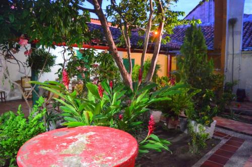 a garden with a red stool and plants at Casa Serrano - Calle Real 5 in Mompós