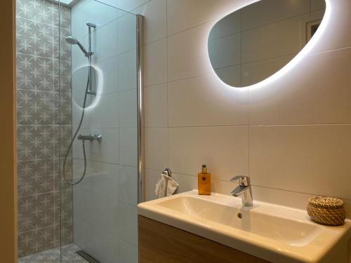 een badkamer met een wastafel en een douche met een spiegel bij Northgo apartment in Noordwijk