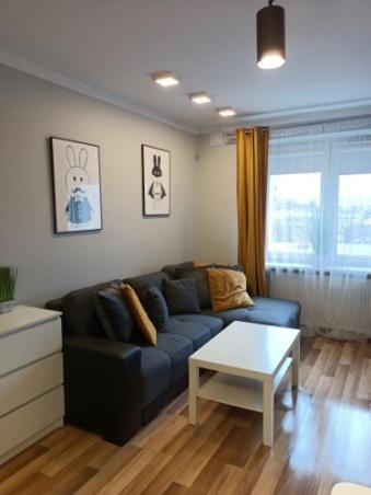 Ruang duduk di Family & Business Elegant Apartments Rynek Centrum Downtown - 2 Bedroom, Balcony, Parking