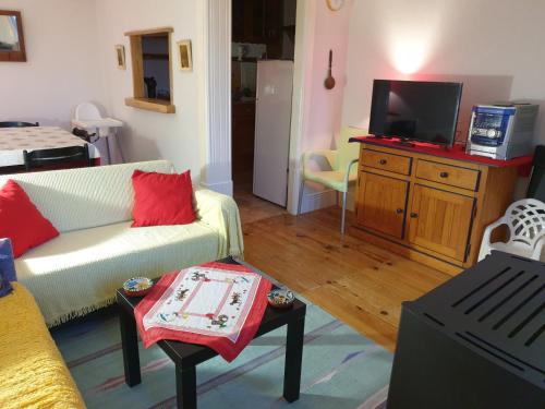a living room with a couch and a tv at Casa dos Cisnes - Serra da Estrela - São Paio - Gouveia - Portugal in São Paio