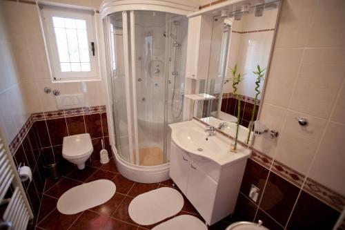 a bathroom with a shower and a sink and a toilet at Apartments Marinić in Primošten