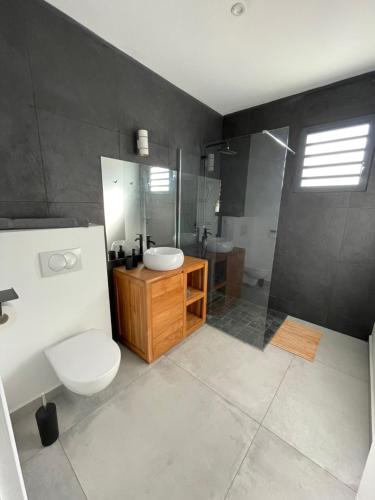 Un baño con inodoro, lavabo y ducha. en VILLA LE LYS, en Saint-François
