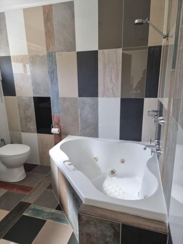 a bathroom with a bath tub and a toilet at The Rocks Apartments in Halls Gap