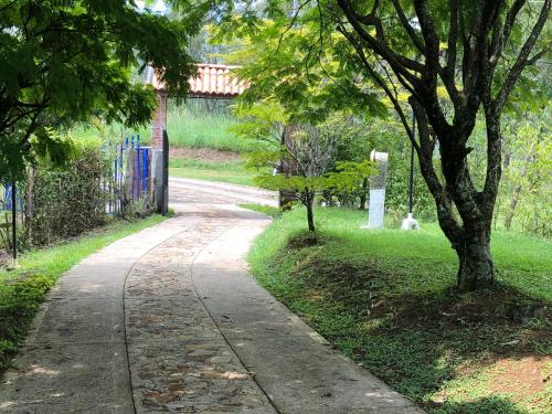 Taman di luar Aventurina