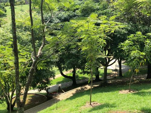 Taman di luar Aventurina