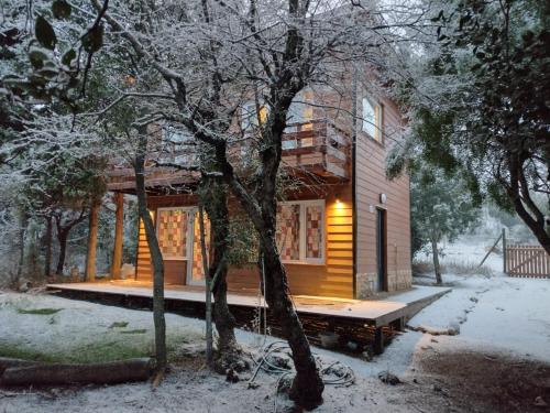 dom na śniegu z ławką przed nim w obiekcie Cabaña Los Cipreses w mieście Bariloche