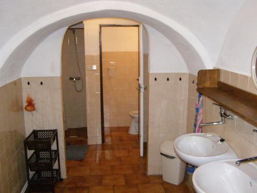 a bathroom with a shower and a sink and a toilet at Chata U Jakuba in Prášily