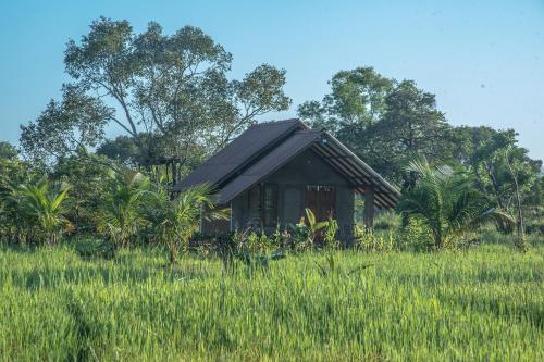 a small house in a field of tall grass at Habarana Farm Cottage in Avudangawa