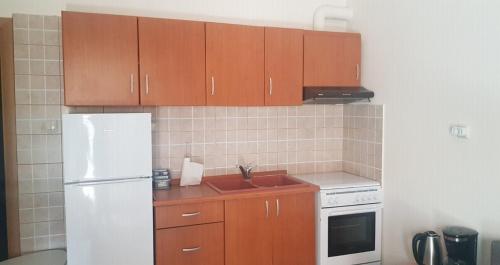 Kuchyň nebo kuchyňský kout v ubytování Nea peramos apartment Up to 8 person