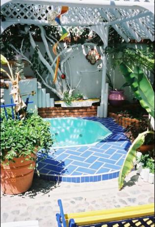 a small swimming pool in a yard with plants at Welcome to Casa Viva Mexico 3-bedrooms 2-bathroms 6-Guests close to Shoping Center & Beach in Tijuana