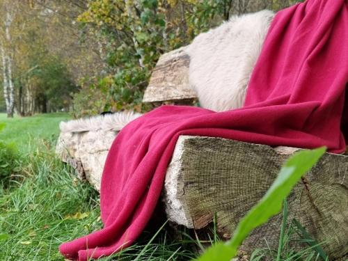 a red blanket sitting on top of a bench at Gästehaus am Kattensteert in Borchel