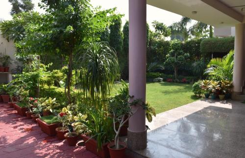 a garden with plants in pots on a patio at Hotel The Omaira in Jaipur