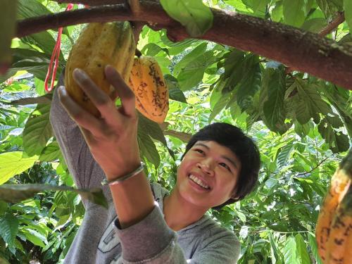 a young boy is holding a banana in a tree at Saengcha Farm Resort in Prachin Buri