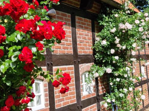 a brick building with red and white flowers on it at Gästehaus am Kattensteert in Borchel