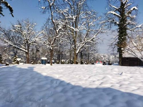 a snow covered field with trees in the background at Vacation house Stala la la in Požega