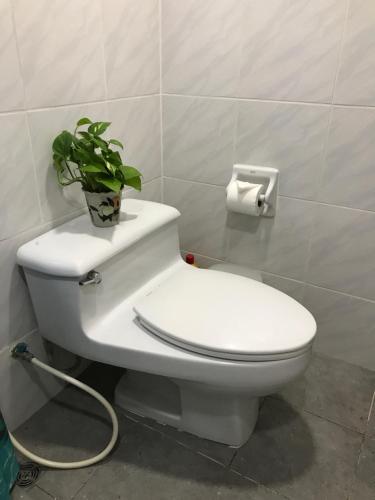 a toilet with a plant sitting on top of it at Omni Tower Cozy Apartment Near NANA BTS in Bangkok