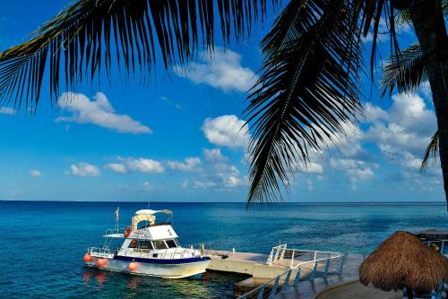 
a boat on the water near a beach at Cozumel Palace-All Inclusive in Cozumel
